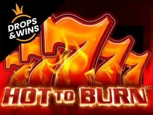 Hot to Burn game thumbnail
