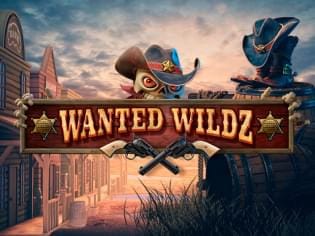 Wanted Wildz Extreme game thumbnail